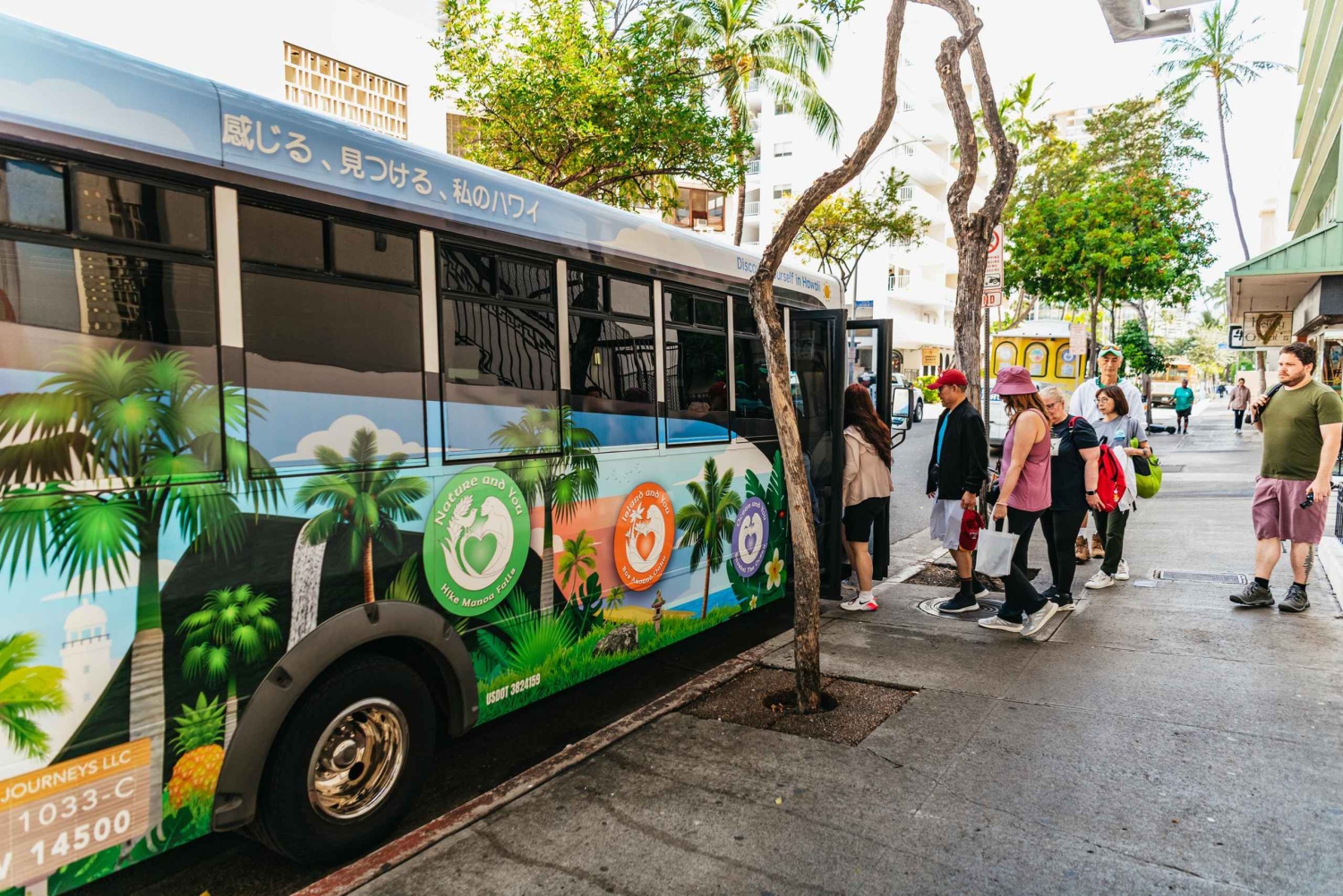 Oahu : Randonnée aux chutes d'eau de Manoa Falls avec déjeuner et transferts