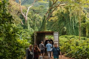 Oahu: Wanderung zum Manoa Falls Wasserfall mit Mittagessen