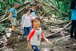 Oahu: Excursión a la cascada Manoa Falls con almuerzo