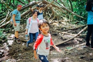 Oahu: Hike to the Manoa Falls Waterfall with Lunch