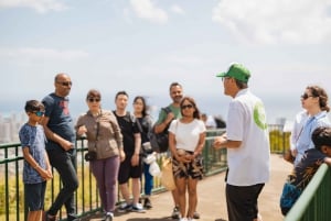 Oahu: Excursión a la cascada Manoa Falls con almuerzo