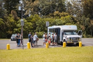 Oahu: Excursión a la cascada Manoa Falls con almuerzo