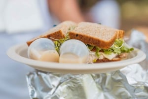 Oahu: Excursión a la cascada Manoa Falls con almuerzo