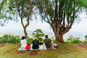 Oahu : Randonnée aux chutes d'eau de Manoa Falls avec déjeuner et transferts