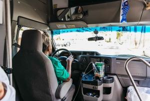 Oahu : Randonnée aux chutes d'eau de Manoa Falls avec déjeuner et transferts