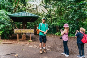 Oahu : Randonnée aux chutes d'eau de Manoa Falls avec déjeuner et transferts