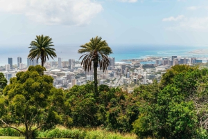 Oahu : Randonnée aux chutes d'eau de Manoa Falls avec déjeuner et transferts