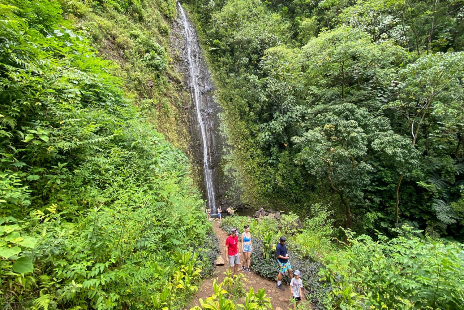 Oahu : Randonnée privée dans la vallée de Manoa et chute d'eau