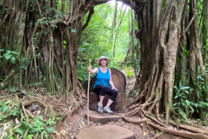 Oahu: Prywatna wycieczka piesza i wodospad w dolinie Manoa