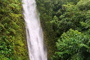 Oahu: Prywatna wycieczka piesza i wodospad w dolinie Manoa