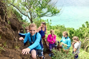 Oahu: Mokoliʻi-kajakkivuokraus ja omatoiminen vaellus