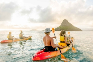 Oahu: Wypożyczalnia kajaków Mokoliʻi i wycieczka z przewodnikiem