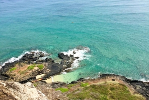 Oahu: Wypożyczalnia kajaków Mokoliʻi i wycieczka z przewodnikiem