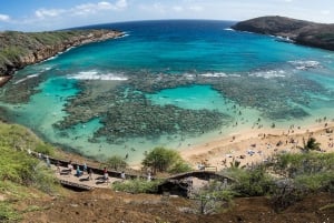 Honolulú: Recorrido por lo más destacado de la isla de Oahu con múltiples paradas
