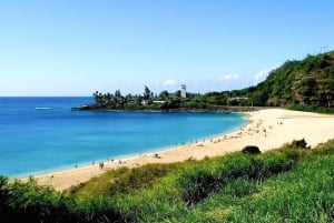 Honolulu : Tour de l'île d'Oahu avec arrêts multiples