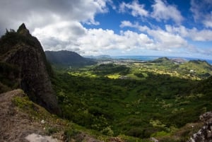 Honolulu: Excursão aos destaques da ilha de Oahu com várias paradas