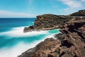 Oahu: Multi-Stop Island Highlights Tour