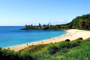 Oahu: Multi-Stop Island Highlights Tour