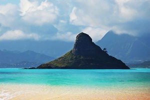 Oahu: Multi-Stop Island Highlights Tour