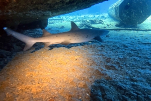Oahu Night Dive: Adventure for Certified Divers