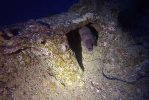 Oahu Night Dive: avventura per subacquei certificati