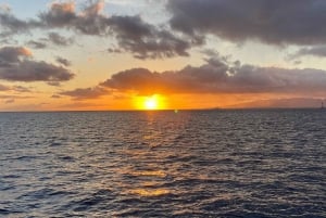 Oahu Night Dive: przygoda dla certyfikowanych nurków