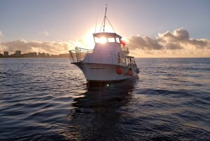 Oahu Night Dive: Adventure for Certified Divers