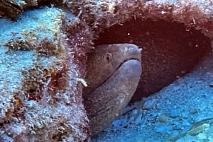 Oahu Night Dive: Adventure for Certified Divers