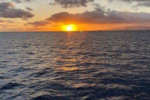 Oahu Night Dive: Adventure for Certified Divers