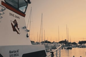 Oahu Night Dive: Adventure for Certified Divers