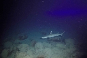 Oahu Night Dive: Adventure for Certified Divers