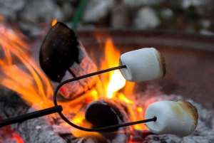 Oahu: Night Zipline Adventure (3 Lines)