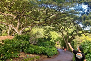 Oahu: North Shore Adventure with Waimea Waterfall Hike