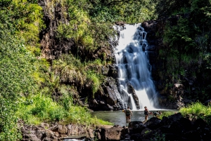 Oahu: North Shore Adventure with Waimea Waterfall Hike
