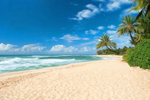 Oahu: North Shore and Hanauma Bay Sightseeing Tour