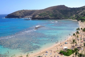 Oahu: North Shore and Hanauma Bay Sightseeing Tour