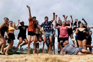 Oahu: Nordkyststrender, skilpadder og Dole Plantation-tur