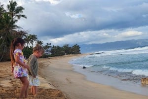 Oahu: Nordkyststrender, skilpadder og Dole Plantation-tur