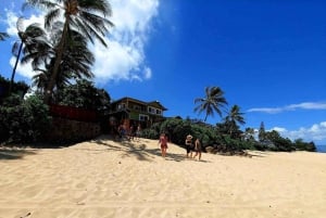 Oahu: Plaże North Shore, żółwie i wycieczka na plantację Dole