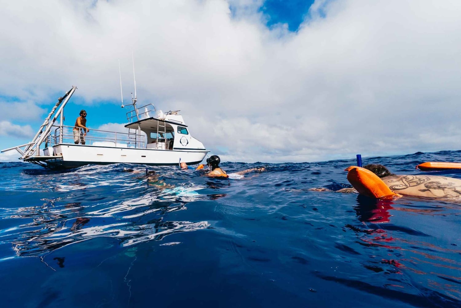 Оаху: тур по подводному плаванию с акулами без клетки на северном берегу