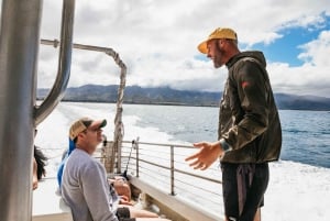 Oahu: North Shore Cageless Shark Snorkeling Tour