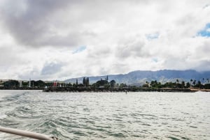 Oahu: North Shore Cageless Shark Snorkeling Tour