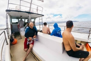 Оаху: тур по подводному плаванию с акулами без клетки на северном берегу