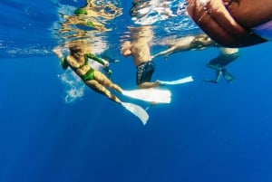 Оаху: тур по подводному плаванию с акулами без клетки на северном берегу