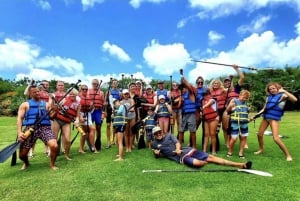 Circle Island: Pływaj z żółwiami i odkrywaj raj Oahu