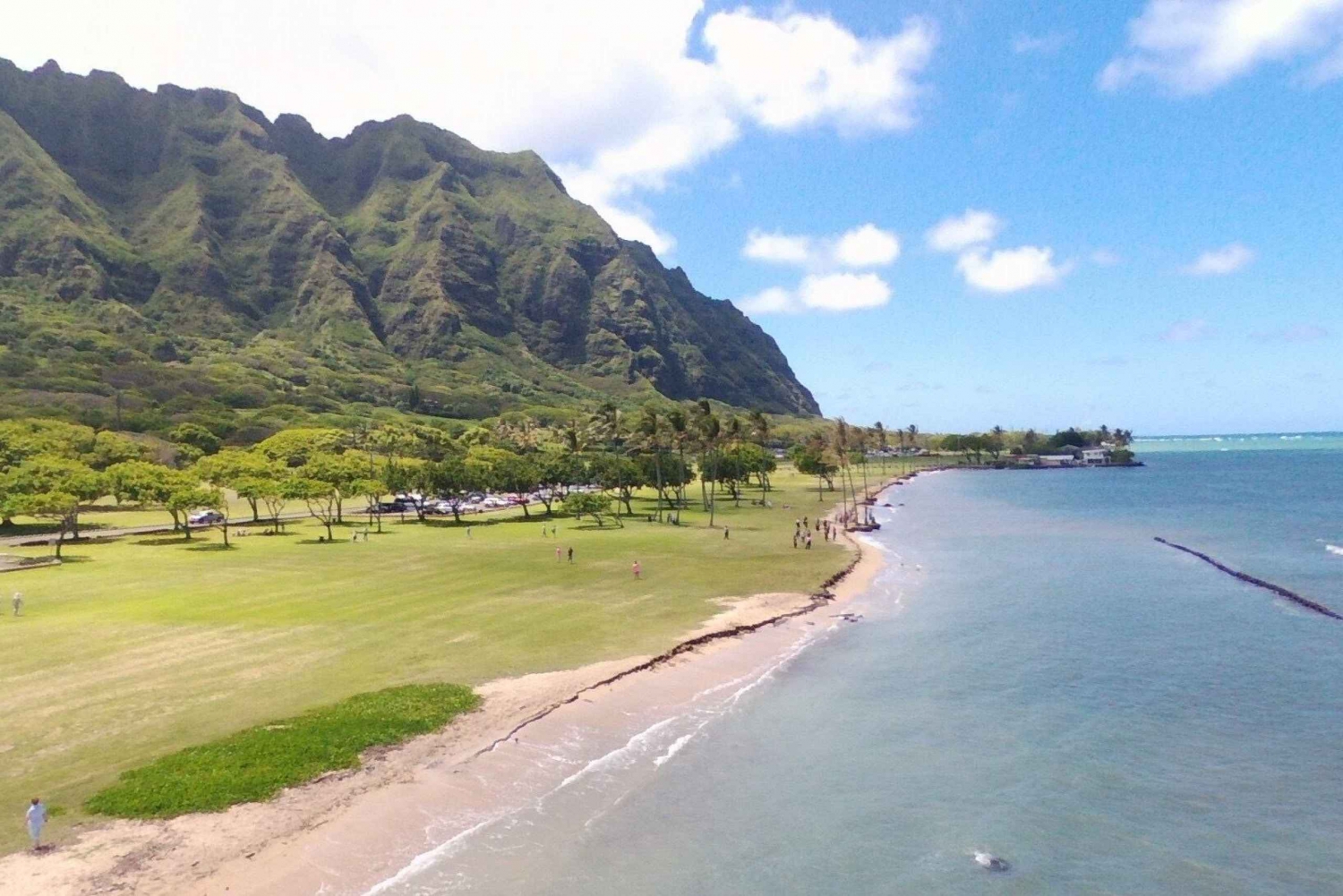 Oahu: Excursión en grupo reducido por la Isla del Círculo de la Costa Norte