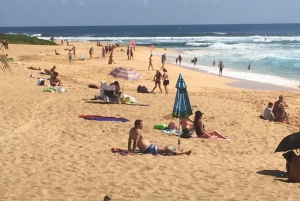 Oahu: North Shore Circle Island Small-Group Tour