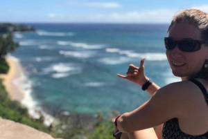 Oahu: North Shore Circle Island Small-Group Tour