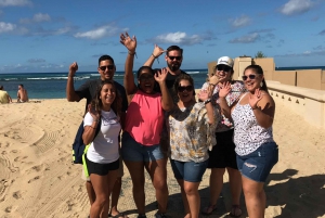 Oahu: North Shore Circle Island Small-Group Tour