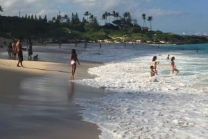 Oahu: Kleine groepstour langs de noordkust van het eiland